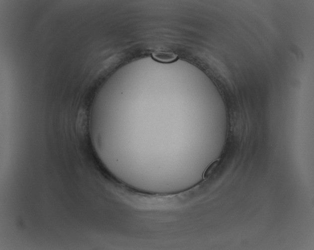 X0000116580036200912241703