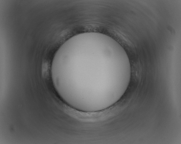 X0000116580038200912241703