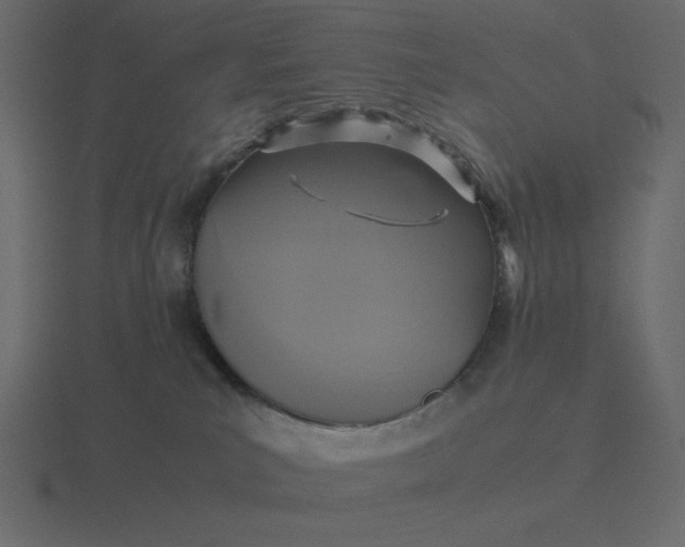 X0000116580039200912241703