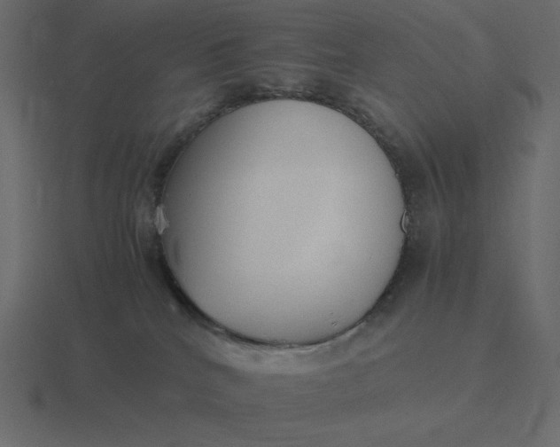 X0000116580040200912241703