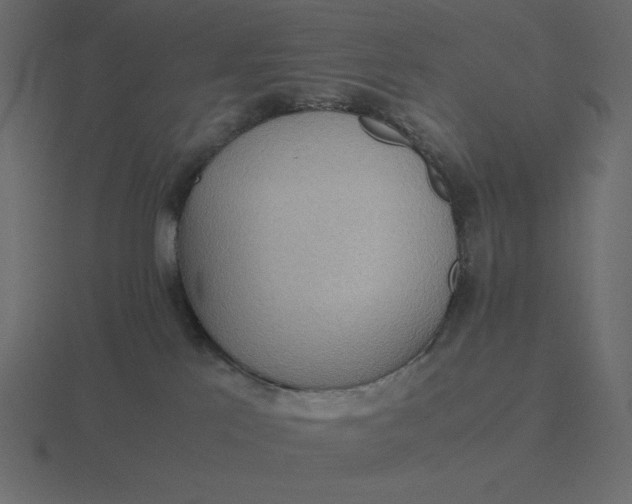 X0000116580041200912241703