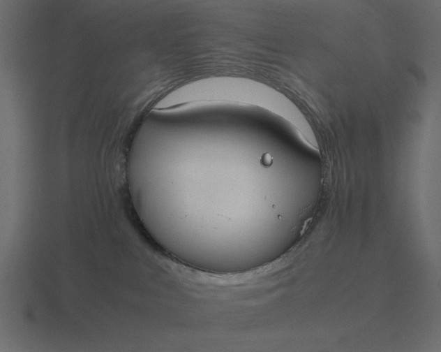 X0000116580043200912241702