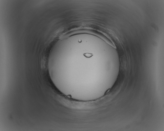 X0000116580044200912241702