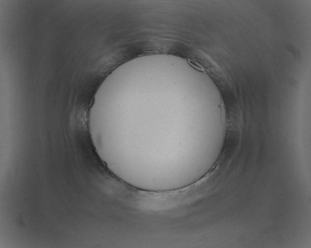 X0000116580045200912241702