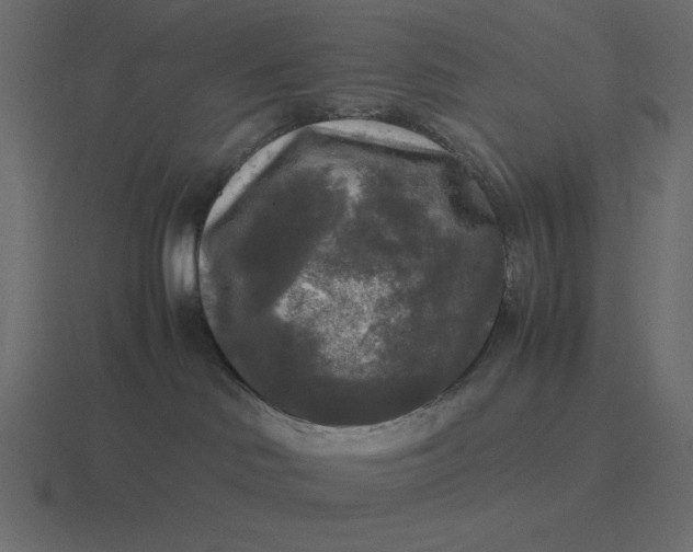 X0000116580046200912241702