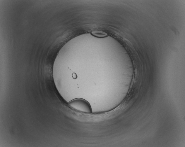 X0000116580048200912241702