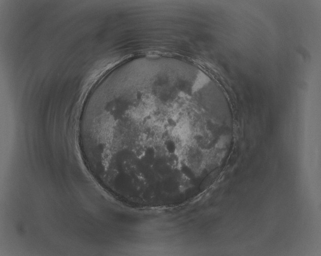 X0000116580049200912241702