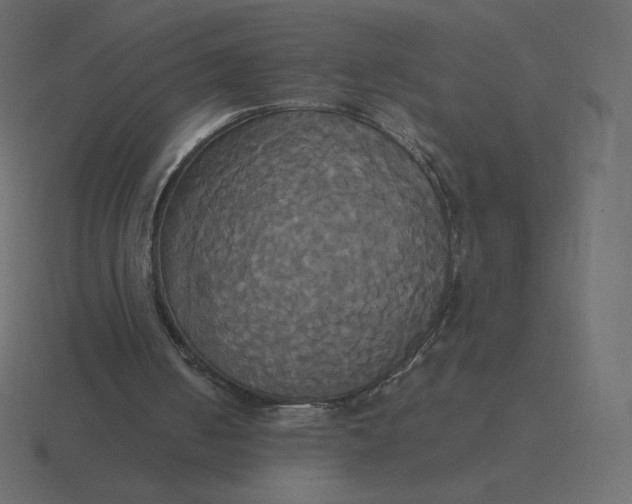 X0000116580050200912241702