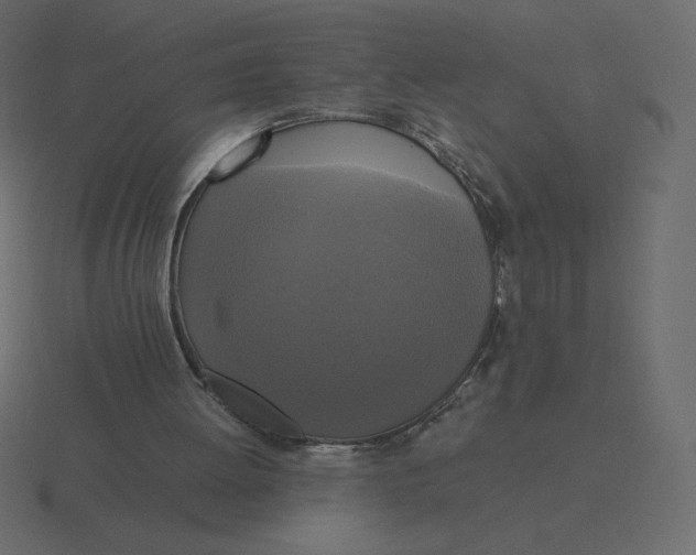 X0000116580052200912241702