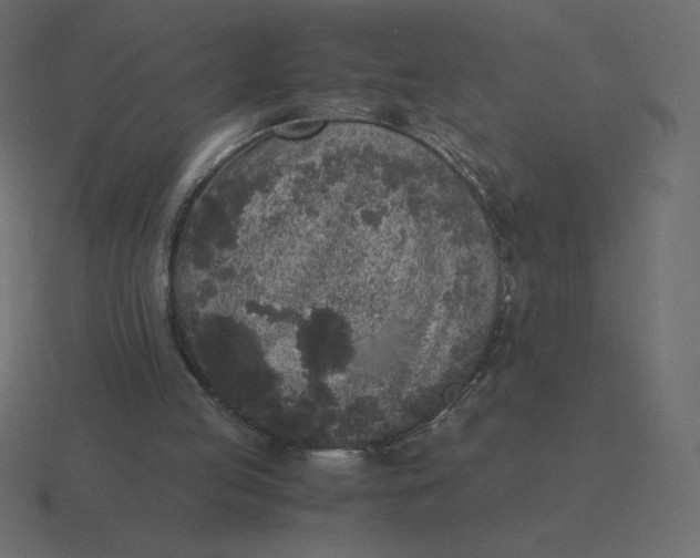 X0000116580053200912241702