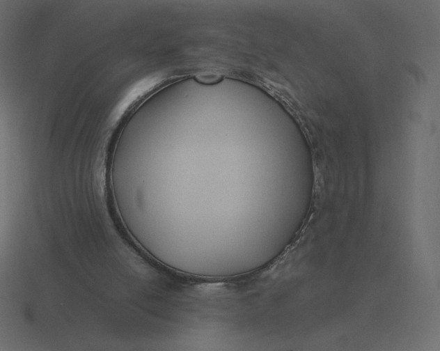 X0000116580054200912241702