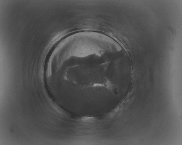 X0000116580055200912241702