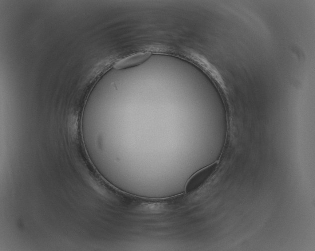 X0000116580057200912241702