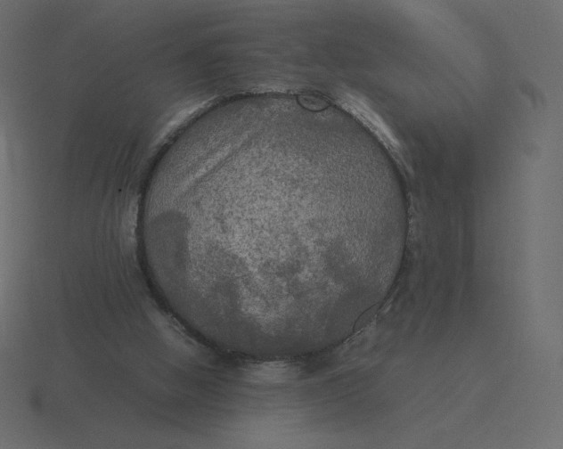 X0000116580058200912241702