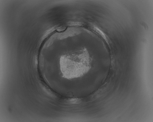 X0000116580059200912241702