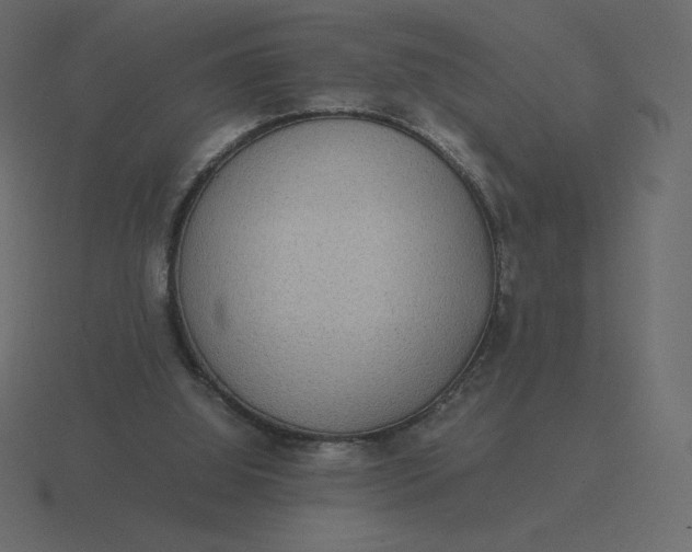 X0000116580060200912241702