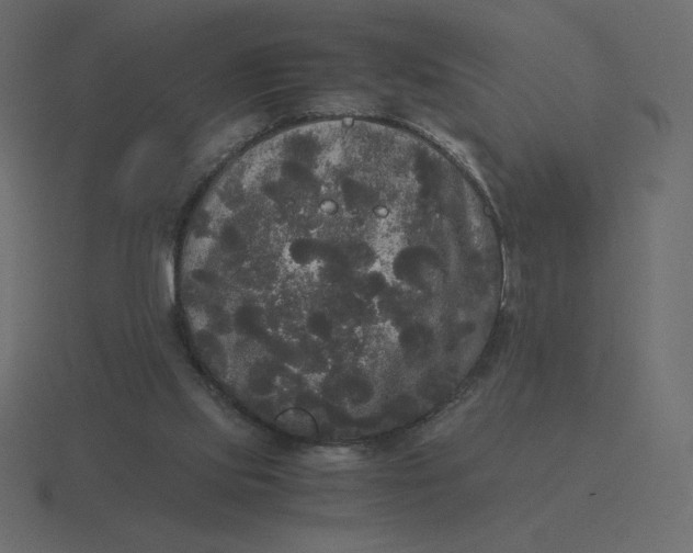 X0000116580061200912241702