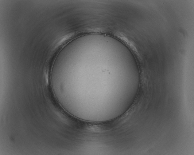 X0000116580062200912241702