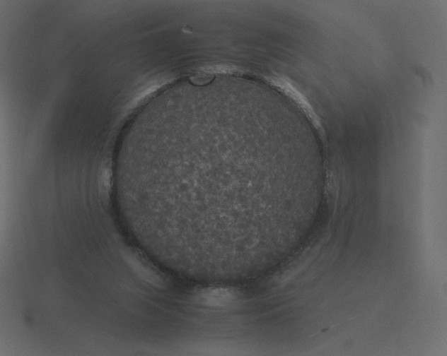 X0000116580063200912241702