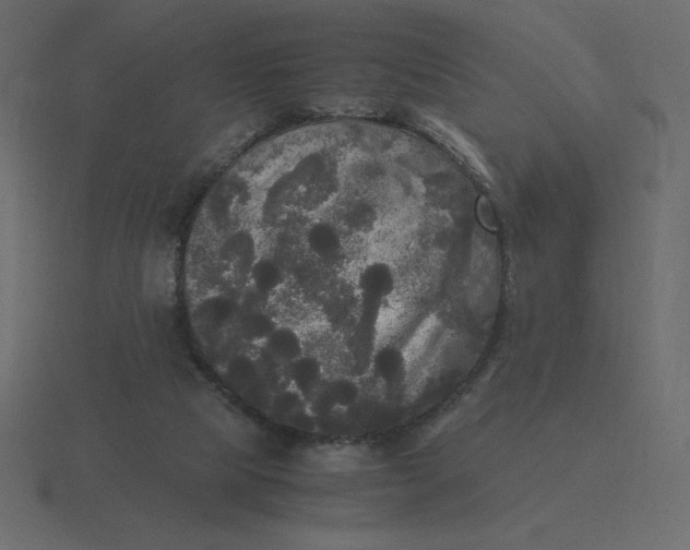 X0000116580065200912241702