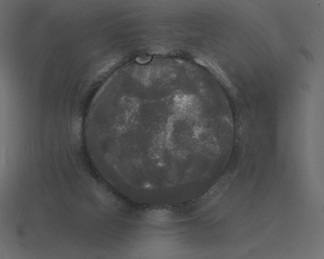 X0000116580066200912241702