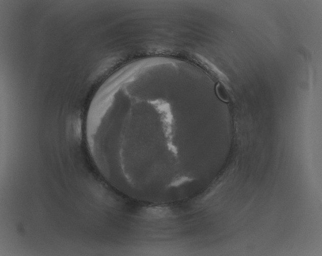 X0000116580067200912241702