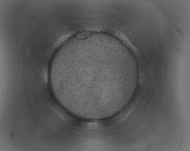 X0000116580068200912241702