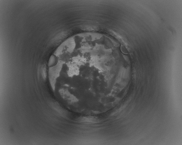 X0000116580069200912241702