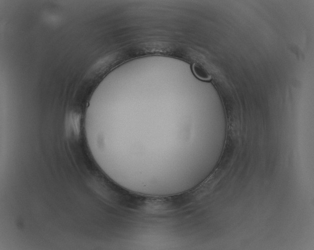 X0000116580070200912241702