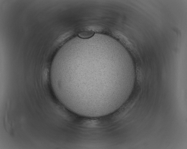 X0000116580071200912241702