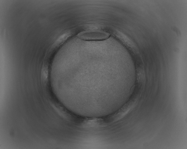 X0000116580072200912241702