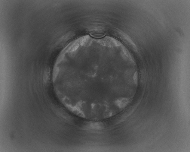 X0000116580073200912241702