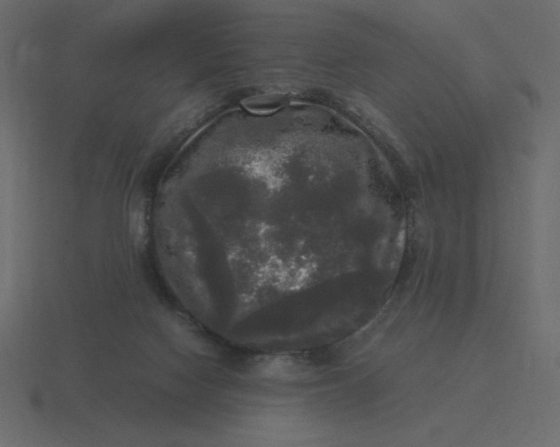 X0000116580074200912241702