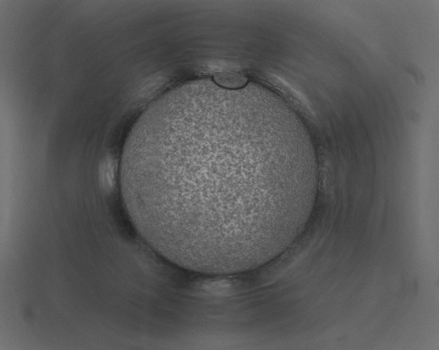 X0000116580075200912241702