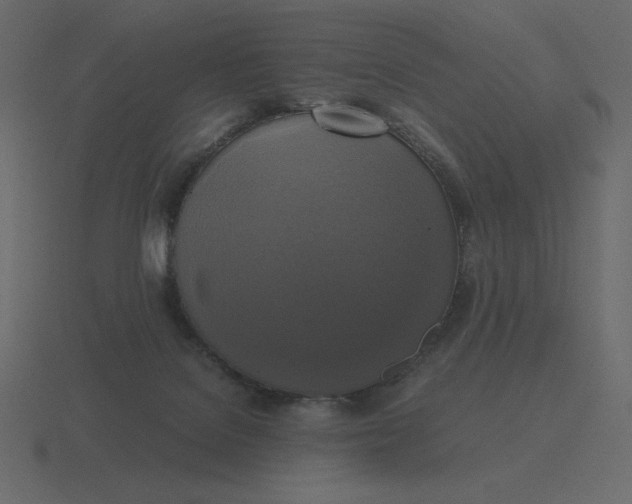 X0000116580076200912241702