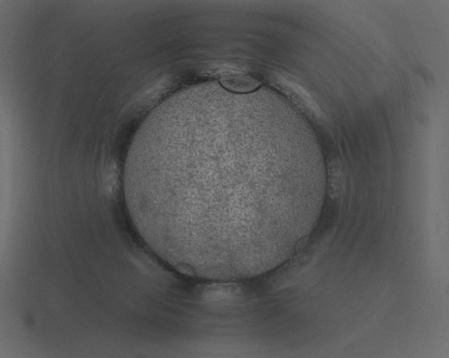 X0000116580077200912241702