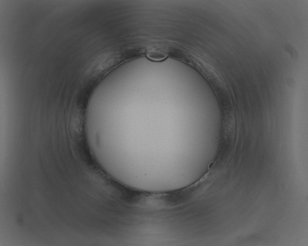 X0000116580078200912241702