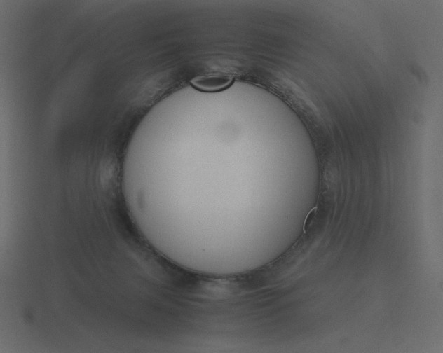 X0000116580079200912241702