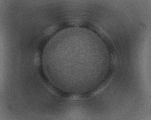 X0000116580080200912241702