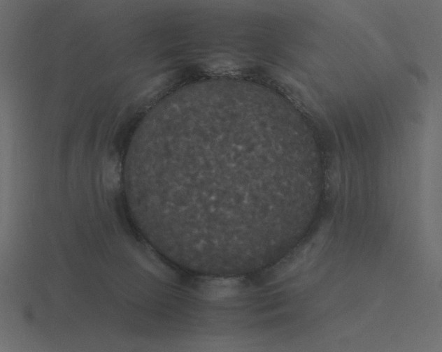 X0000116580081200912241702