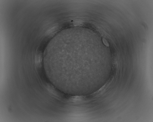 X0000116580082200912241702