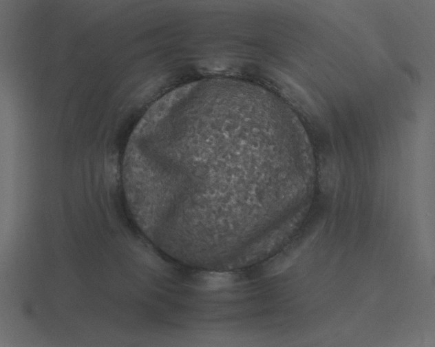 X0000116580085200912241702