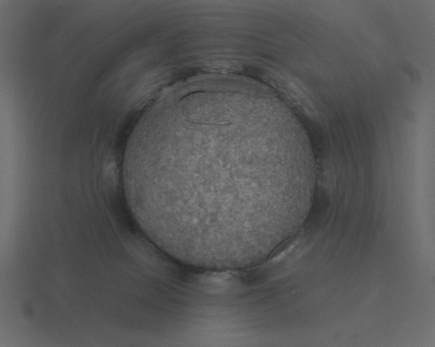 X0000116580086200912241702