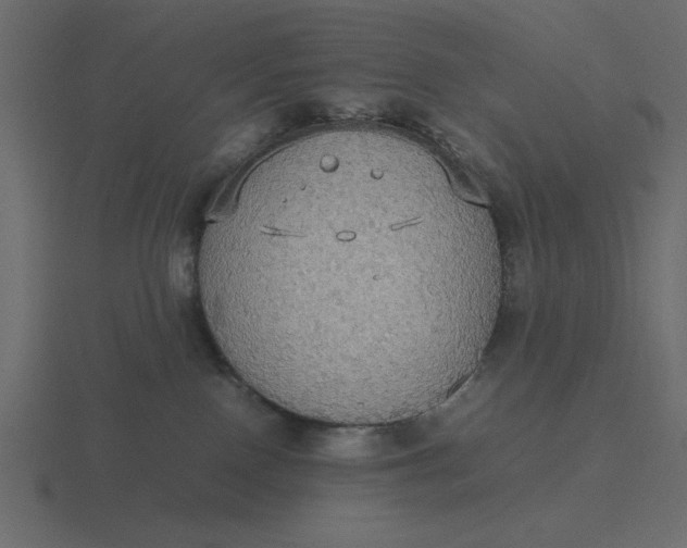 X0000116580090200912241702