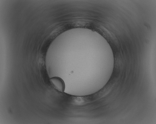 X0000116580091200912241702