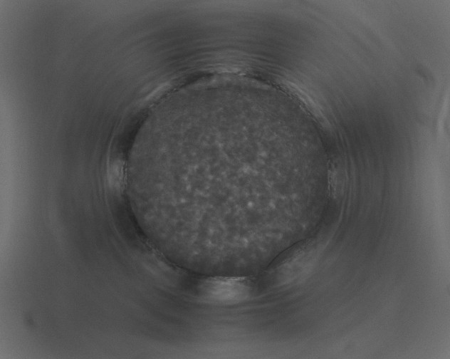 X0000116580093200912241702