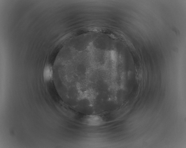 X0000116580095200912241702