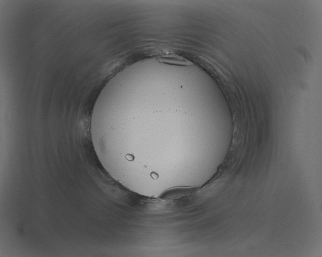 X0000116580096200912241702