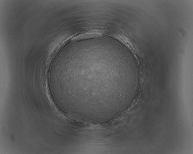 X0000116580097200912241702