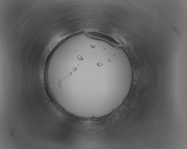 X0000116580098200912241702